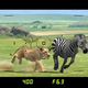 Illustration for article titled Afrika Release Date, Price Announced (Not By David Attenborough)